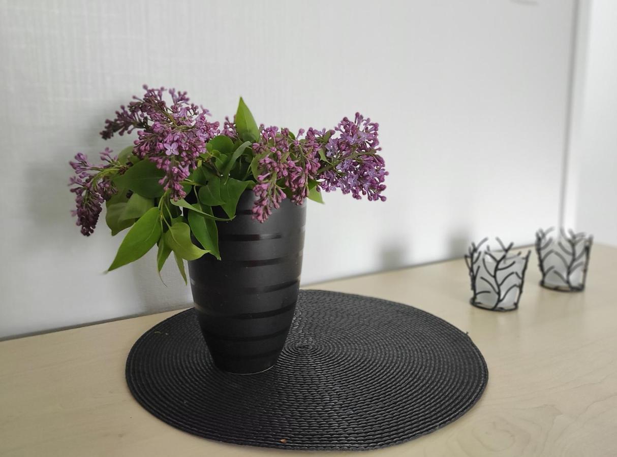 Hiiumaa Family Apartments Kärdla 外观 照片